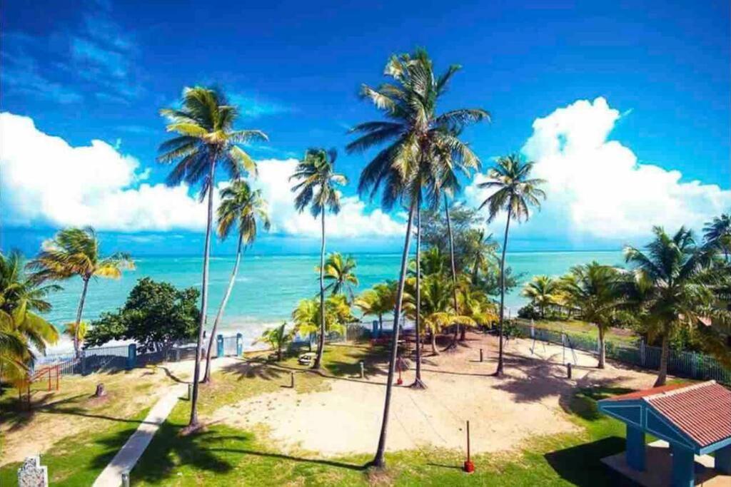 3Bedrm Beach Penthouse With Rooftop Terrace & Wifi Río Grande Eksteriør bilde